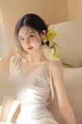 取保守的汽车制制商 