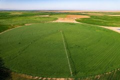 乳成品行业成长挑和取机缘并存 